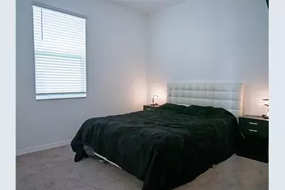 2876 Misty Marble Drive, Zephyrhills, FL 33540 - Photo 29