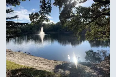 2602 7th Court #15, Palm Harbor, FL 34684 - Photo 53