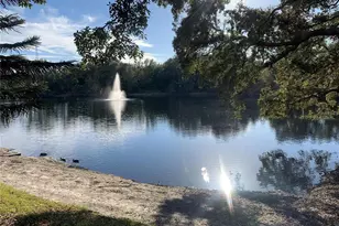 2602 7th Ct, Palm Harbor, FL 34684 - Photo 53