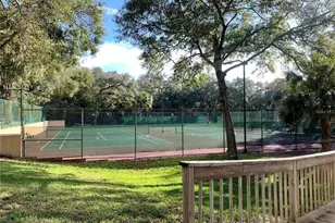 2602 7th Ct, Palm Harbor, FL 34684 - Photo 47