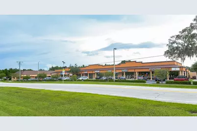 4325 Lynx Paw Trail #4325, Valrico, FL 33596 - Photo 25