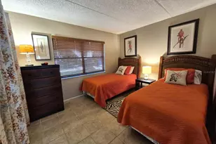 50 Woodlake Pl, Oldsmar, FL 34677 - Photo 29