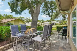 3259 Hilary Cir, Palm Harbor, FL 34684 - Photo 43