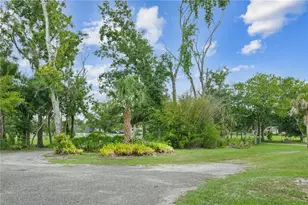 2650 20 Mile Level Rd, Land O Lakes, FL 34639 - Photo 5