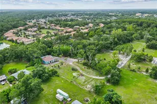 2650 20 Mile Level Rd, Land O Lakes, FL 34639 - Photo 61