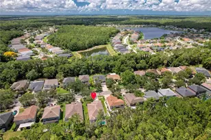 13220 Royal George Ave, Odessa, FL 33556 - Photo 31