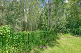 13220 Royal George Ave, Odessa, FL 33556 - Photo 3