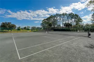 13220 Royal George Ave, Odessa, FL 33556 - Photo 39