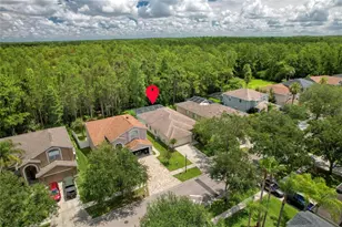 13220 Royal George Ave, Odessa, FL 33556 - Photo 29