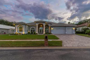 438 Tall Oak Trail, Tarpon Springs, FL 34688 - Photo 71