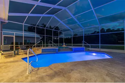 438 Tall Oak Trail, Tarpon Springs, FL 34688 - Photo 43