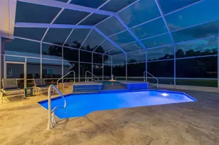 438 Tall Oak Trail, Tarpon Springs, FL 34688 - Photo 43