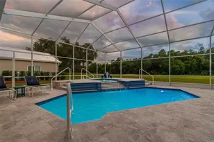 438 Tall Oak Trail, Tarpon Springs, FL 34688 - Photo 65