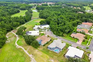 438 Tall Oak Trail, Tarpon Springs, FL 34688 - Photo 79