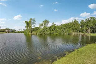 1613 Comfy Ct, Sun City Center, FL 33573 - Photo 27