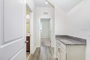 13514 Palmera Vista Dr, Riverview, FL 33579 - Photo 19