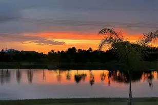 1507 Golden Glow Dr, Ruskin, FL 33570 - Photo 3