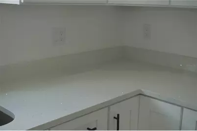8924 N Orleans Avenue, Tampa, FL 33604 - Photo 29