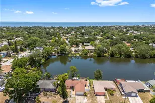 914 Carlton Rd, Tarpon Springs, FL 34689 - Photo 49