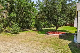 16936 Falconridge Rd, Lithia, FL 33547 - Photo 77