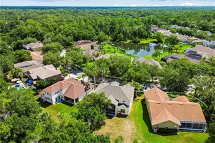 16936 Falconridge Rd, Lithia, FL 33547 - Photo 81