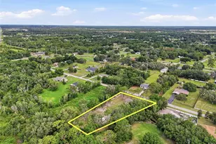 31848 Hedgerow Dr, Wesley Chapel, FL 33543 - Photo 63