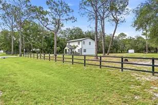 31848 Hedgerow Dr, Wesley Chapel, FL 33543 - Photo 7