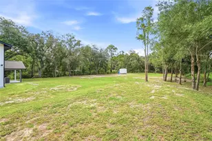 31848 Hedgerow Dr, Wesley Chapel, FL 33543 - Photo 53