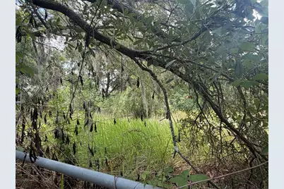 4447 Edwards Rd, Plant City, FL 33567 - Photo 3
