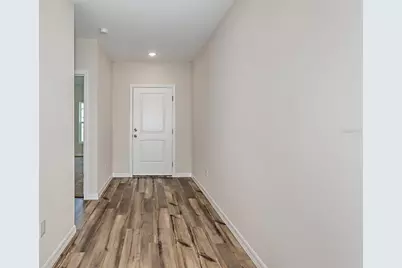 31682 Baronne Street, Wesley Chapel, FL 33545 - Photo 23