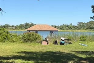650 Bellingham Pl, Palm Harbor, FL 34684 - Photo 11