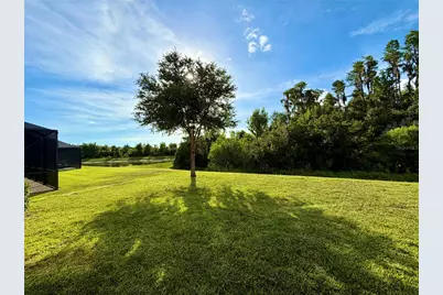 19522 Whispering Brook Drive, Tampa, FL 33647 - Photo 41