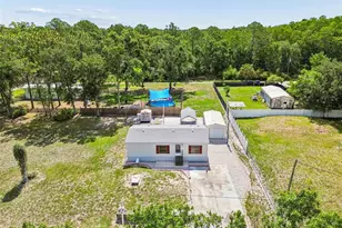 10654 Holgate St, New Port Richey, FL 34654 - Photo 19