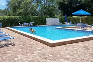 2130 Bancroft Pl, Palm Harbor, FL 34683 - Photo 27