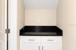 4341 Cambio Gdns Ct, Tampa, FL 33610 - Photo 9