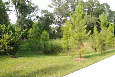 4341 Cambio Gardens Court, Tampa, FL 33610 - Photo 25