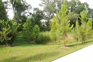 4341 Cambio Gdns Ct, Tampa, FL 33610 - Photo 25