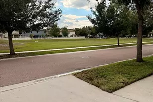 14250 Blue Dasher Dr, Riverview, FL 33569 - Photo 43