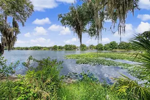 7434 E Bank Dr, Tampa, FL 33617 - Photo 29