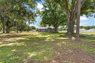 4535 Meadowview Dr, Lakeland, FL 33810 - Photo 7