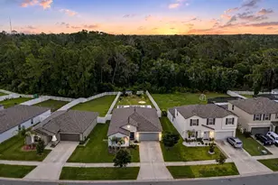 13411 Willow Bluestar Loop, Riverview, FL 33579 - Photo 1