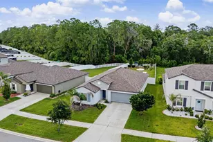 13411 Willow Bluestar Loop, Riverview, FL 33579 - Photo 39