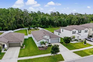 13411 Willow Bluestar Loop, Riverview, FL 33579 - Photo 37