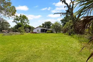 6904 Williams Rd, Seffner, FL 33584 - Photo 23