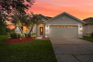 3817 Langdrum Dr, Wesley Chapel, FL 33543 - Photo 1