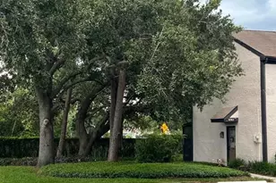 16596 Brigadoon Dr, Tampa, FL 33618 - Photo 31