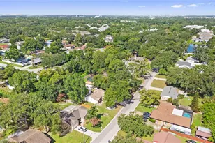 1917 Dove Field Pl, Brandon, FL 33510 - Photo 39