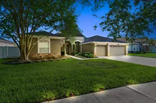 3820 Misty Landing Dr, Valrico, FL 33594 - Photo 1
