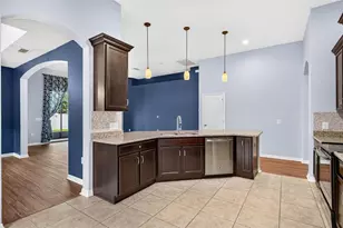 12005 Rambling Stream Dr, Riverview, FL 33569 - Photo 9