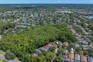 9915 Hartwell Bridge Cir, Tampa, FL 33626 - Photo 67